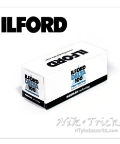 Ilford Delta 100 Professional ~120 Roll