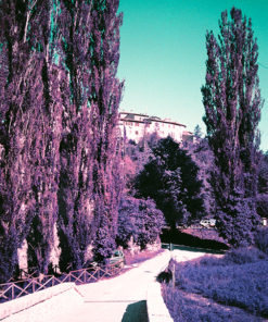 Lomochrome Purple XR 100-400 35mm