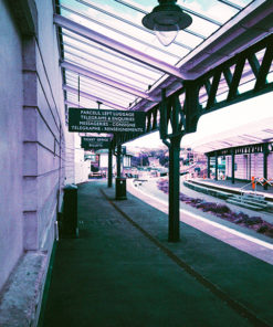 Lomochrome Purple XR 100-400 35mm