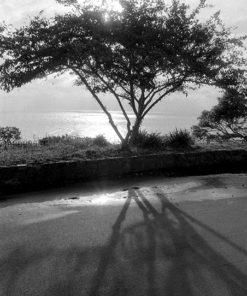 Ilford HP5 Plus 35mm 400asa