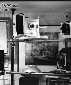 HP5 @ 1600asa in Nucleol BF200