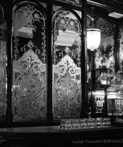 Kodak Tmax400 +1 stop in Euro-HC