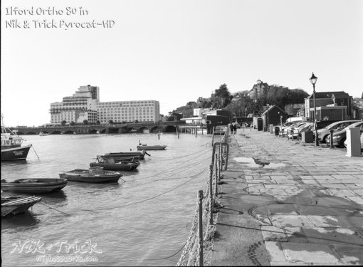 Ilford Ortho Plus 80 in Pyrocat-HD