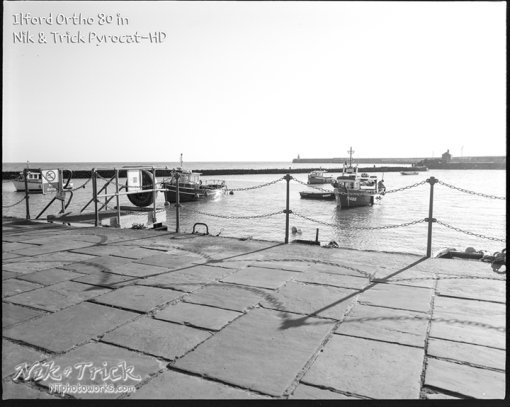 Ilford Ortho Plus 80 in Pyrocat-HD