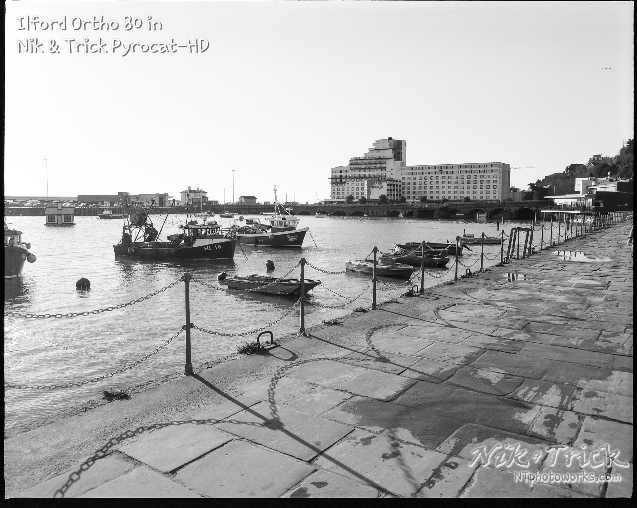 Ilford Ortho Plus 80 in Pyrocat-HD