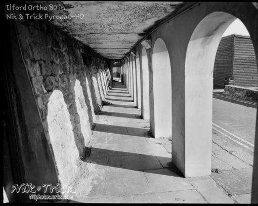 Ilford Ortho Plus 80 in Pyrocat-HD