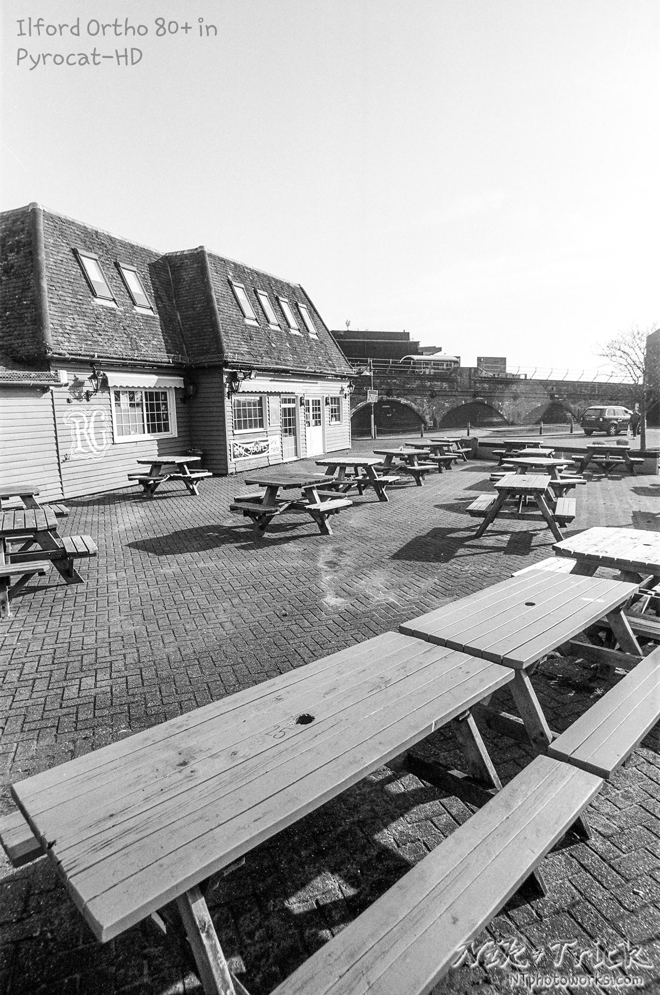 Ilford Ortho Plus 80 in Nik & Trick Pyrocat-HD