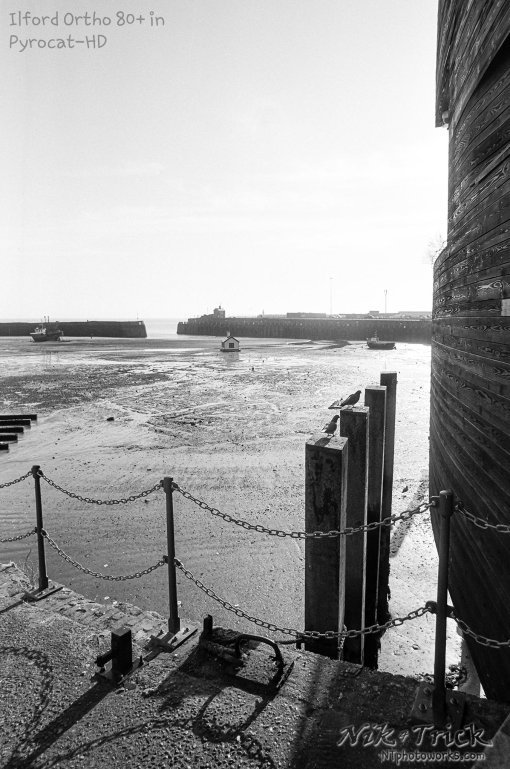 Ilford Ortho Plus 80 in Nik & Trick Pyrocat-HD