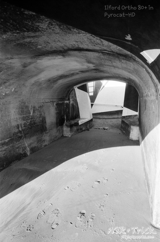Ilford Ortho Plus 80 in Nik & Trick Pyrocat-HD