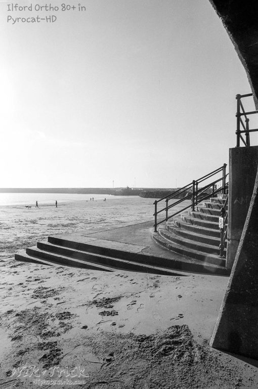 Ilford Ortho Plus 80 in Nik & Trick Pyrocat-HD