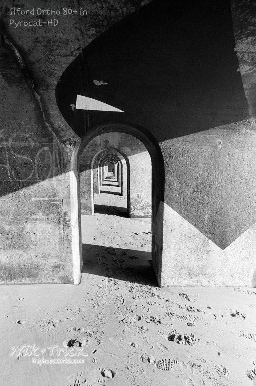 Ilford Ortho Plus 80 in Nik & Trick Pyrocat-HD