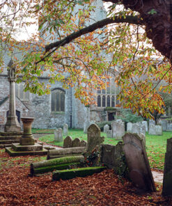 Lomography Colour Negative Film 100asa