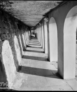 Ilford Ortho Plus 80 in Pyrocat-HD