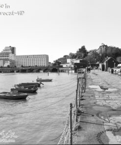 Ilford Ortho Plus 80 in Pyrocat-HD