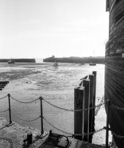 Ilford Ortho Plus 80 in Nik & Trick Pyrocat-HD