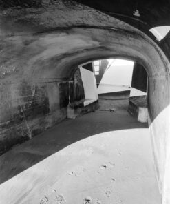 Ilford Ortho Plus 80 in Nik & Trick Pyrocat-HD