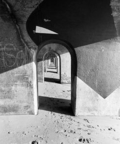 Ilford Ortho Plus 80 in Nik & Trick Pyrocat-HD