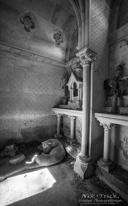 Kodak Double-X 5222 Black & White Film