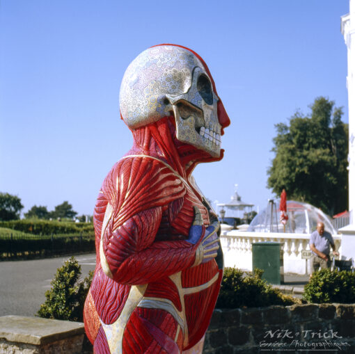 Kodak New Ektachrome E100 Medium Format