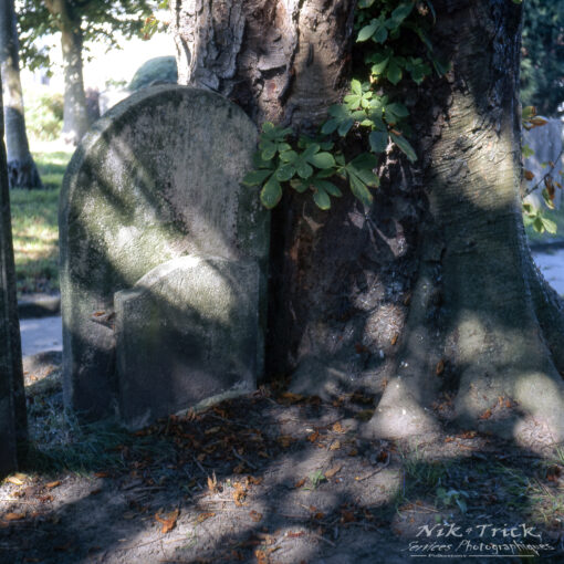 Kodak New Ektachrome E100 Medium Format