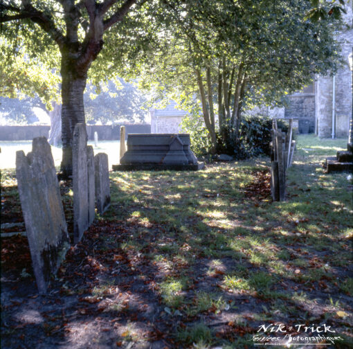 Kodak New Ektachrome E100 Medium Format