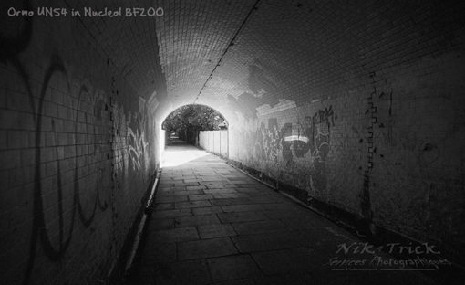 Ornano / Bellini Nucleol BF200 Pyrocat B&W Film Developer