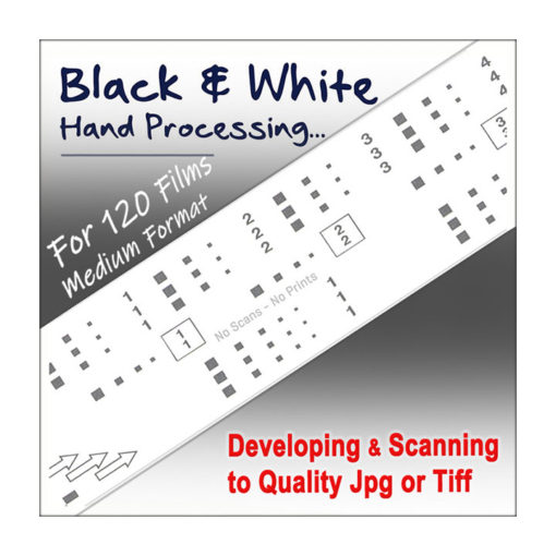 120, 620 Black & White Film Processing & Scan