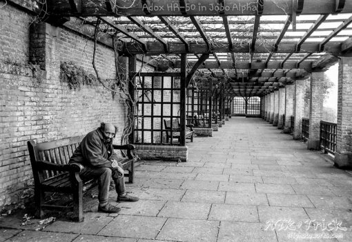 Adox HR-50 in Jobo Alpha