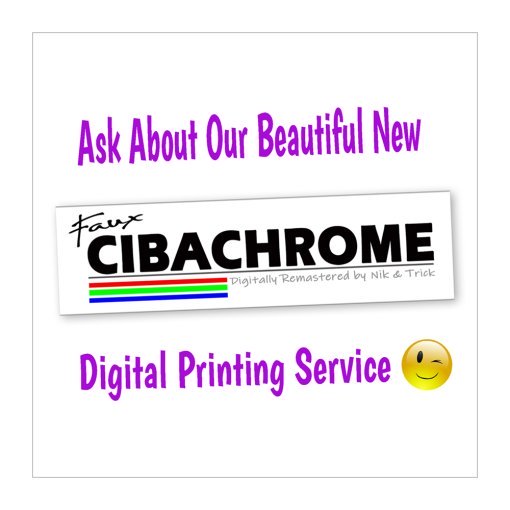 Faux Cibarchrome Printing