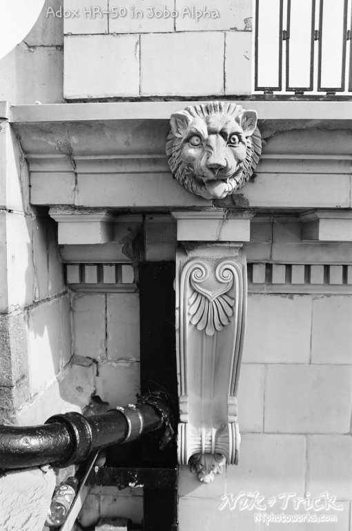 Adox HR-50 in Jobo Alpha