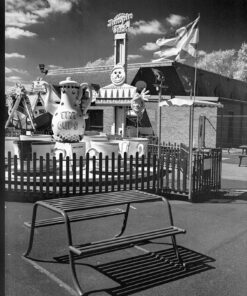 Rollei InfraRed IR400 Medium Format 120 Roll