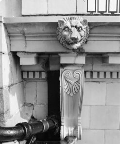 Adox HR-50 in Jobo Alpha