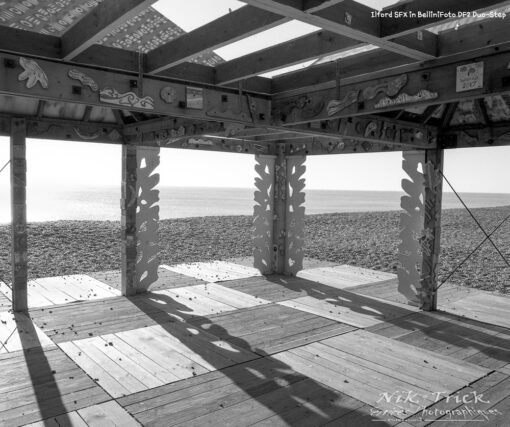 BelliniFoto DF2 Duo-Step B&W Film Developer with Ilford SFX