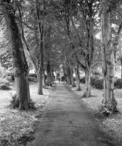 Ilford FP4+ in Ornano Nucleol BF200