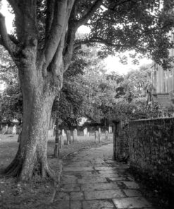 Ilford FP4+ in Ornano Nucleol BF200
