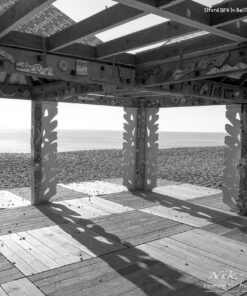 BelliniFoto DF2 Duo-Step B&W Film Developer with Ilford SFX