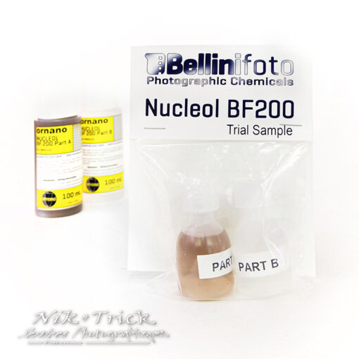 BelliniFoto & Ornano Trial Samples
