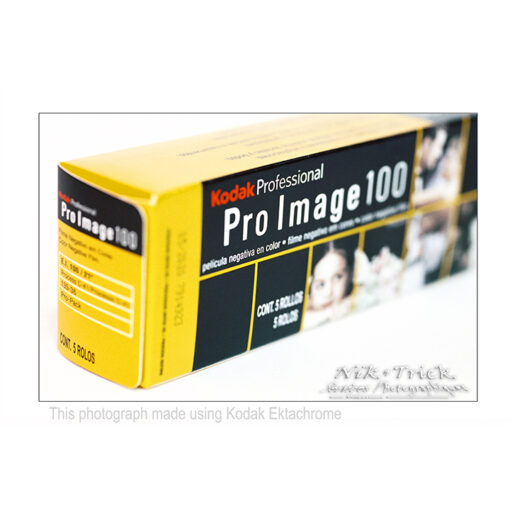 Kodak Pro Image 100asa Colour Film