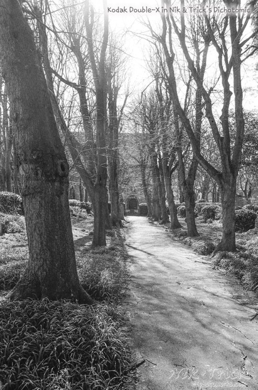 Kodak Double-X in N&T Dichotomic