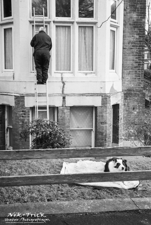 Rollei RPX100 35mm B&W Film