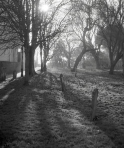 Rollei RPX100 35mm B&W Film