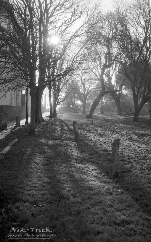 Rollei RPX100 35mm B&W Film