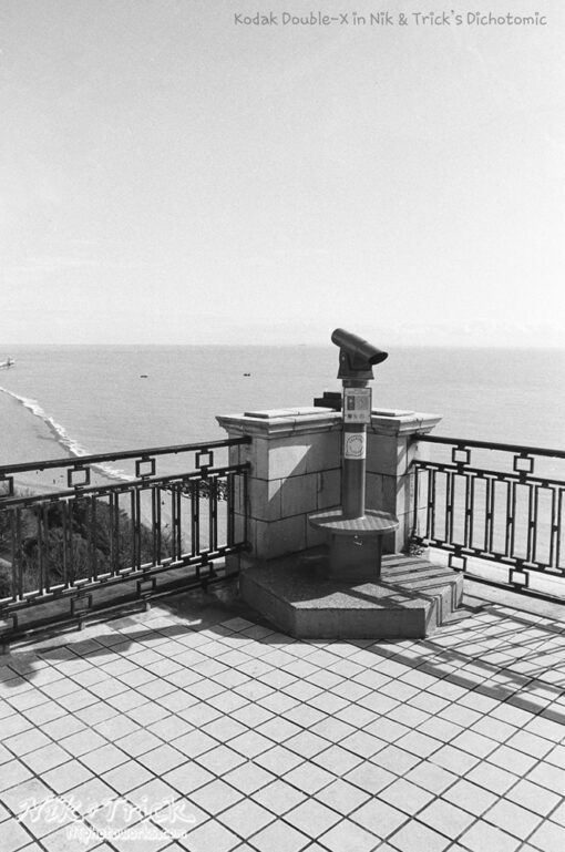 Kodak Double-X in N&T Dichotomic