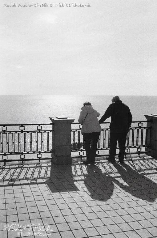 Kodak Double-X in N&T Dichotomic
