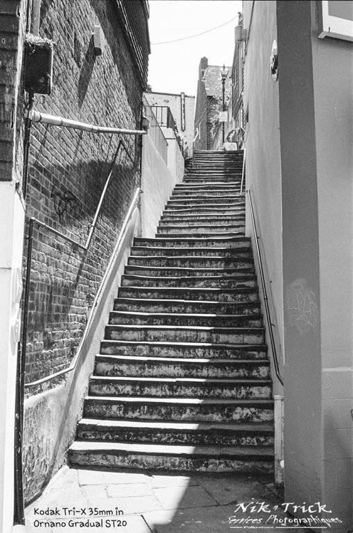 Ornano Gradual ST-20 Film Developer