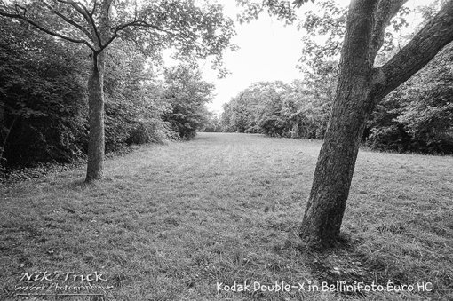 BelliniFoto EURO HC (110) with Kodak Double-X