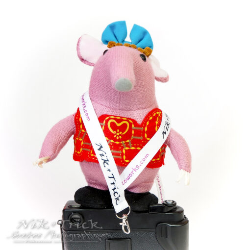 The Nik & Trick Lanyard ~ Teamwear!