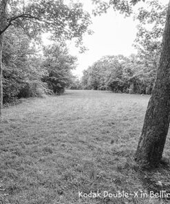 BelliniFoto EURO HC (110) with Kodak Double-X