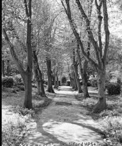 Ilford HP5 Plus 120 Roll