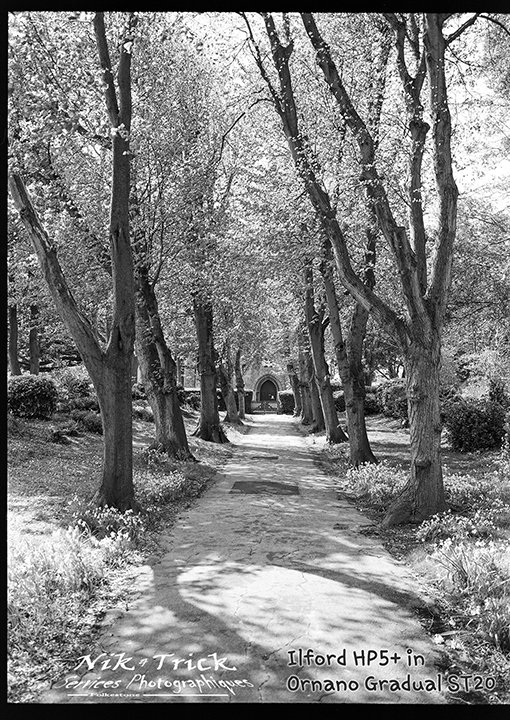 Ilford HP5 Plus 120 Roll